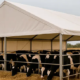 naves agrícolas prefabricadas