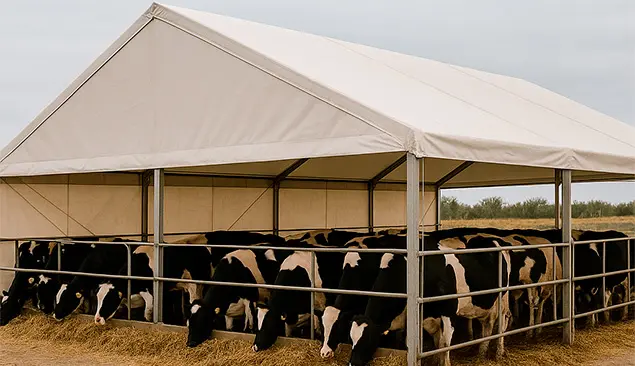 Carpa agricola1 naves agrícolas prefabricadas