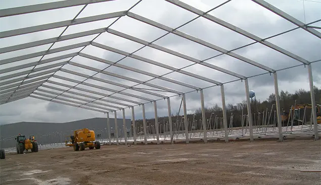 Carpa grande1 carpas grandes