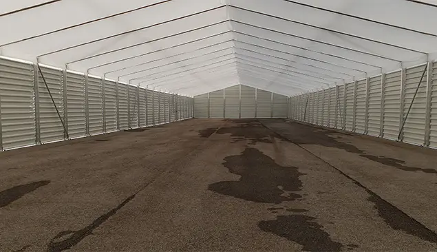 Carpa grande2 Carpas grandes
